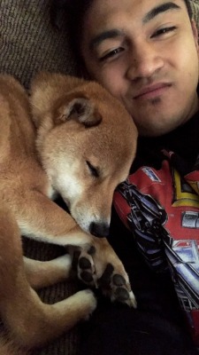 Doge & me