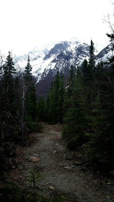 zsandcoffee:  Hiked out to Echo Bend at Crow Pass yesterday.