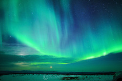 te5seract:    Northern Lights &  Northern Light  by  Piriya