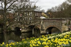 fjbonilla:  Puente del Obispo (Norwich) 