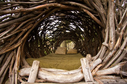 traveler-wanderer:My friend’s dad built this human bird nest