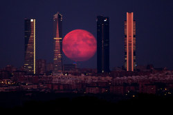 untrustyou:The moon shines through the Four Towers Madrid skyscrapers