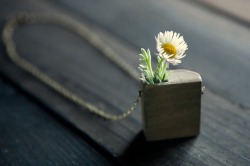 myampgoesto11:  Hand made wood and grass mini planter jewelry