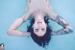 beautifulgirlsmakemesuicidal:  Venus Suicide 