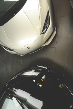 modernambition:   Yin & Yang | WF 