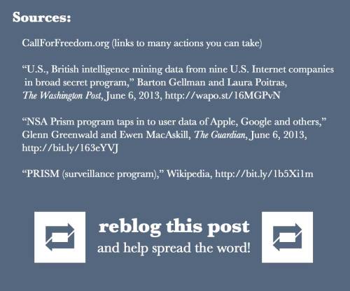 punkqueer:  TAKE ACTION Post to your Facebook & Twitter: https://www.thunderclap.it/projects/2594-july-4th-protest-nsa-spying Protest on July 4th: http://www.RestoreTheFourth.net Find out about other actions: http://CallForFreedom.org 