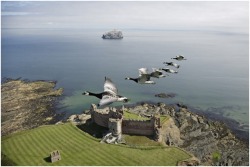 Fly past (Barnacle Geese soar past Tantallon Castle in Scotland)