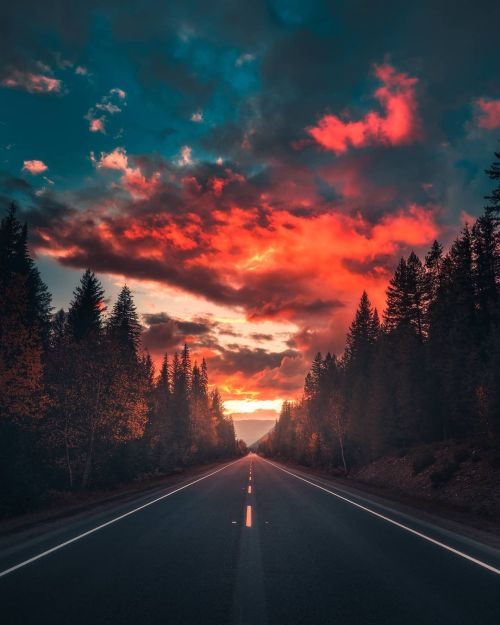 throughwinterfields:  Zach Doehler