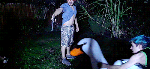 markired:  rip in peace inflatable swan (x)