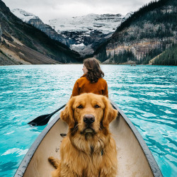 boredpanda:    Human Takes His Dog On Epic Adventures, Proves