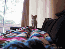 miniandcute:  http://bit.ly/1h0PuU7 - look this girls! ღ 