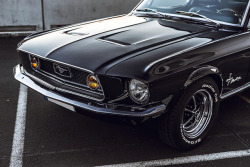 carspotdx:  1968 Ford MustangSource: @thatblack68fastback instagram