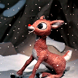 naiey:I’m cuuuute! She said I’m cuuuute!Rudolph the Red-Nosed