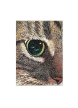 canvaspaintings:  Close-up cat face drawing original ACEO —I’m