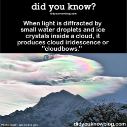 did-you-kno:  When light is diffracted by small water droplets