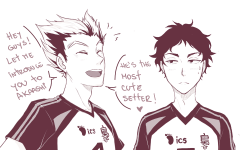 sapphicdalliances:  nihui-223art:      *whisper* the cutest setter