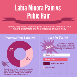 largelabiaproject:  My 2014 survey investigated whether having or shaving/waxing pubic hair had an impact on the pain and discomfort some people have with their labia minora, especially if they have protruding labia minora. While each person’s experience