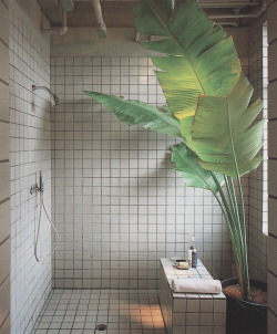 palmandlaser:From Bathroom Design (1985)