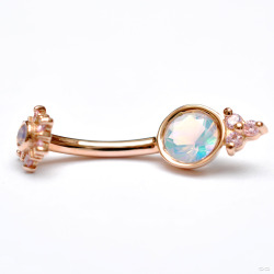 infinitebody:  From Body Vision Los Angeles: Rose-gold curved