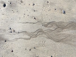 found-fabricated:Sand patterns, beach, North Down, Northern Ireland.