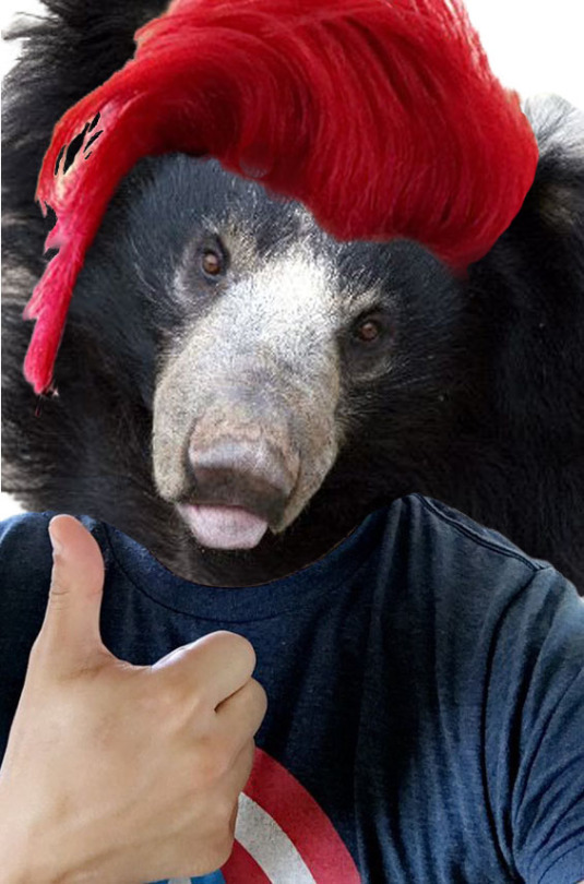 What about we put a bear’s head on Mark’s body?