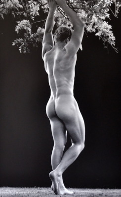 ...Dare To Bare It All...