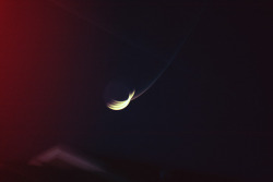 haileypng: wobbly long exposures of the moon and her gf venus