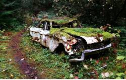 destroyed-and-abandoned:  Abandoned car found in woods on Vancouver