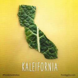 pleatedjeans:  Guy Creates Food Pun for Every State in the Union