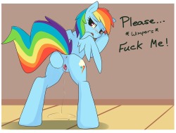 Some rainbow dash