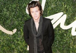 nananarry:  Harry Styles attends the British Fashion Awards 2013
