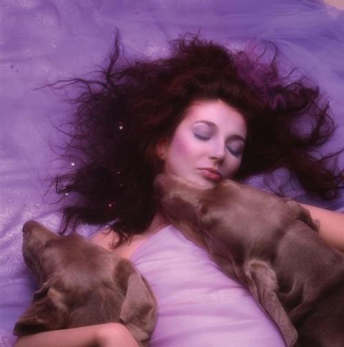 arubandeity: kate bush with her dogs bonnie and clyde for “hounds