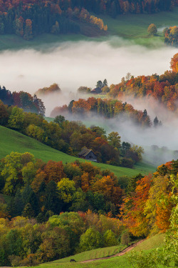 favorite-season:  Autumn Impression by  Jan Geerk    Seasons