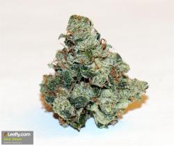 theheroicchemist:  Sour Diesel is a sativa plant named after