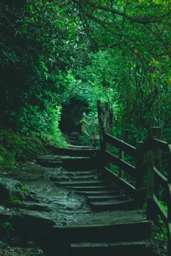 plasmatics-life:   Path ~ By Kara Souza 