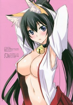 unlimited-sexxy-works:  Download my sexy Infinite Stratos hentai