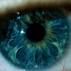 wonders-of-the-cosmos:  Eye vs space (Cat’s Eye Nebula, black