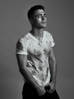 Colton Haynes