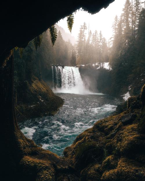 earthporn:Oregon waterfalls [4286x5357] [OC] by: ryanditch