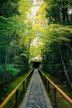 ileftmyheartintokyo:  DSC01132-3 by bakamiya on Flickr. 