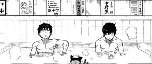 Kawaii Â  Â  Â  Â (~ï¿£â–½ï¿£)~This is from the manga Ao no Exorcist or Blue Exorcist which is about Rin Okumura, a teenager who discovers he is the son of Satan born from a human woman and is the inheritor of Satan’s powers. When Satan kills Rin&rs