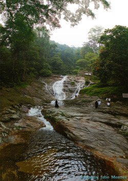 eartheld:  brutalgeneration:  Cameron Highlands Waterfall 2 (by