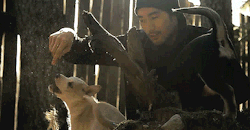 housebaylor: Godfrey Gao with some pups （*’∀’人）♥