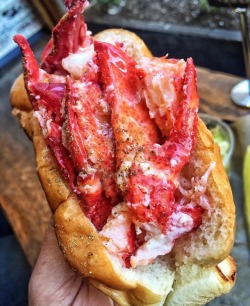 cravingsatmidnight:Lobster Roll