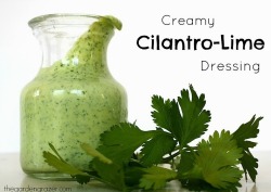 vegan-yums:  ~Vegan Dressing~ Creamy Cilantro-Lime Dressing Creamy