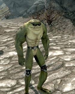 retronauts:  astronomiee:  Battletoads mod for Skyrim  Modders,