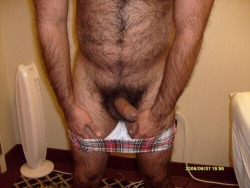 manlybush:  Yummy hairy cock and his arms are super furry too