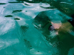 hectorzavala:  Swim In The Rain Hector Zavala