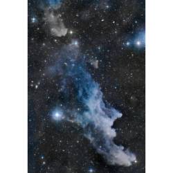 The Witch Head Nebula #nasa #apod #witchhead #nebula #ic2118