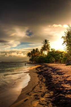 trilithbaby:  makxveli:  Caribbean Sunset on Guadeloupe by: [